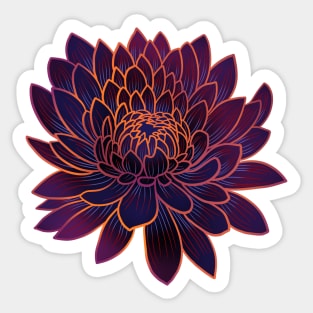 Colorful chrysanthemum or Mums flower drawing - faded orange with purple and blue lines in the petals. Sticker